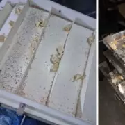 Ealing Dumpling Firm Fined £78k for Mould and Construction Dust Violations