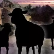 Emmerdale Crisis: Cain Dingle Faces Barn Collapse Amid Cancer Battle