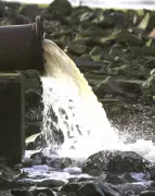 English Water Firms Face 1,200 Pollution Convictions, Yet No CEOs Charged