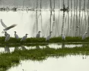 Europe Braces for Spring Heatwave While US Faces Nor'easter Blizzards