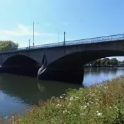 Father Spared Jail After Drunkenly Throwing Daughter's Kittens into Thames