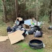Fly-Tipper Fined for 'Worst-Ever' Dump in New Forest Protected Area