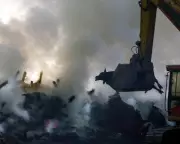 Foot-and-Mouth Outbreak: UK's 2001 Livestock Crisis and Lasting Impact