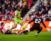 Fulham Triumphs at Sunderland with Jimenéz and Iwobi Goals