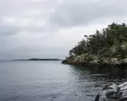 German Tourists Rescued After Floating Sauna Adventure Goes Wrong in Sweden