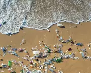 Global Efforts Struggle to Curb Rising Plastic Production, Experts Warn