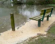 Government to Close Water Bonus Loopholes After Firms Exploit Legislation