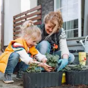 Grandparents Could Boost State Pension by £330 Annually Through Childcare Credits