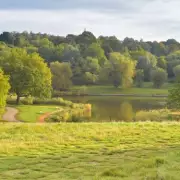 Hampstead Heath Island Transformed into Wildlife Sanctuary with £50,000 Fundraising