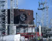 Hinkley Point C's £700m 'Fish Disco' Could Save 90% of Marine Life