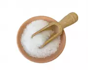 Houseplant Hacks: The Truth About Oats and Epsom Salts