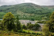 How a Welsh Village Saved Its Forest Through Community Stewardship