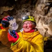 Ice Age Wolverine Remains Unearthed in Yorkshire Dales Cave by Hobby Cavers