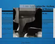 ICE Attorneys Face Moral Dilemmas Amid Trump's Deportation Agenda