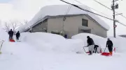 Japan Snow Crisis: 35 Dead, 400 Injured as Heavy Snowfall Continues