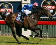 Makybe Diva, Triple Melbourne Cup Champion, Dies at Age 26