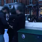 Met Police Chief Urges Courts to Halt Bail for Repeat Phone Thieves in London