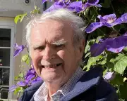 Michael Collins: UCL Planning Educator and London Architect Dies at 92