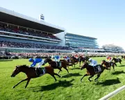 MPs Accept Free Tickets from Gambling Firms Amid Reform Calls