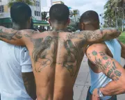 Muscle Memory: Phoenix Art Museum's New Exhibition on Bodily Knowledge