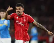 Nottingham Forest's Wasteful Display Frustrates Owner in Wolves Draw