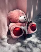 Photographer Finds Healing Through iPhone Lens: The Story of Barcelona's Abandoned Bear