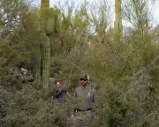 Search for Savannah Guthrie's Mother Intensifies with Over 18,000 Tips