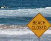 Shark Attack Safety in Australia: Best Times and Locations for Swimming