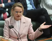 Sussan Ley Warns Liberals Disunity Is Fatal Amid Angus Taylor Leadership Speculation