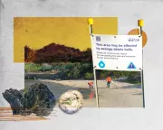 Sydney Water Ordered to Remove Massive Fatberg After Beach Closures