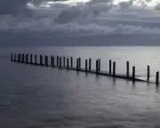 Teen's Four-Hour Swim Saves Family Swept Out to Sea in Western Australia