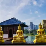 Top 5 Most Impressive Cities from 120 Visits: A Traveler's Favourites