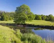 Toxic 'Forever Chemicals' Found in 25 Cumbria and Lancashire Water Sites