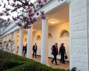 Trump's $500m UAE Crypto Deal: A Second-Term Scandal That Barely Registered