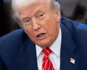 Trump's Latest Moves: A Comprehensive Overview of Recent Developments