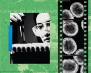 Trump's Science Cuts Spark Brain Drain, Threatening US Biomedical Leadership