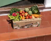 UK Organic Food Market Sees Biggest Boom in 20 Years as Riverford Sales Rise 6%