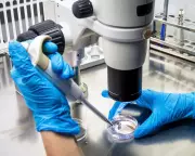 UK's £54m Science Recruitment Pales Against Global Rivals Amid Trump Exodus