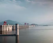 Yangtze River Ecosystem Shows Dramatic Recovery Following Fishing Ban