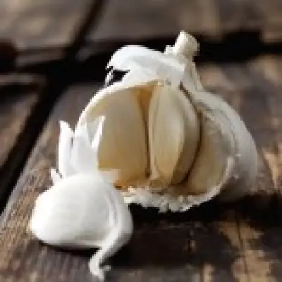 AI Chatbots Endorse Dangerous Health Myths, Including Rectal Garlic Insertion