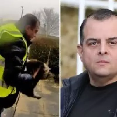 Amazon Driver Admits Stealing Family Cat, Faces Up to Five Years in Prison