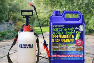 Amazon's Top Patio Cleaning Products Combat Winter Grime Effectively