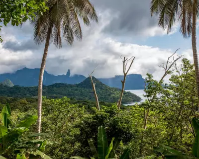 Billionaire Funds 'African Galapagos' Conservation with Cash Dividends for Villagers