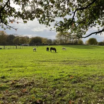 Bromley Residents Protest 2,200-Home Green Belt Development, Fear for Horses