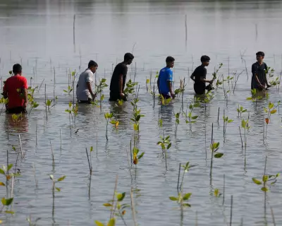 Climate Aid Reductions Pose Severe Threat to Developing Nations