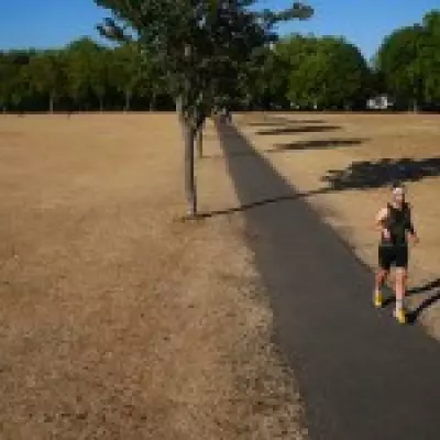 Climate Inactivity Crisis: Study Predicts Up to 700,000 Deaths by 2050