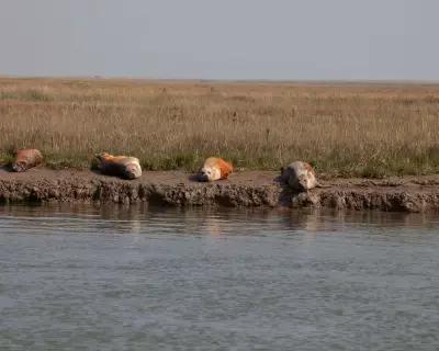 Conservation Leaders Clash Over UK Habitat Protection and Green Building