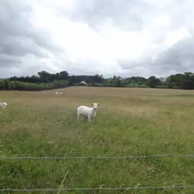 Controversial 46,000-Population New Town Plan for Enfield's Green Belt Sparks Local Backlash