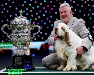 Crufts Winner's Animal Cruelty Conviction Sparks Channel 4 Complaints