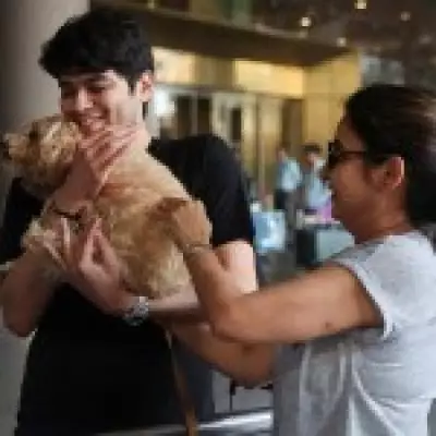 Dubai Expats Euthanize Healthy Pets Amid Iran Conflict Exodus